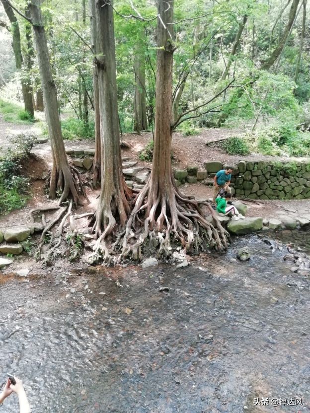 穿过九溪十八涧.去龙井问泉