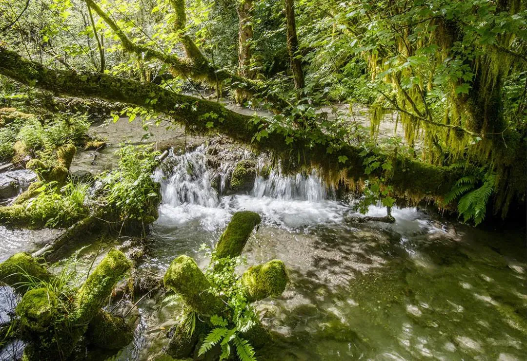 均温20℃！周边7个耍水宝地，冲浪滑水观瀑，最快1h清凉度夏