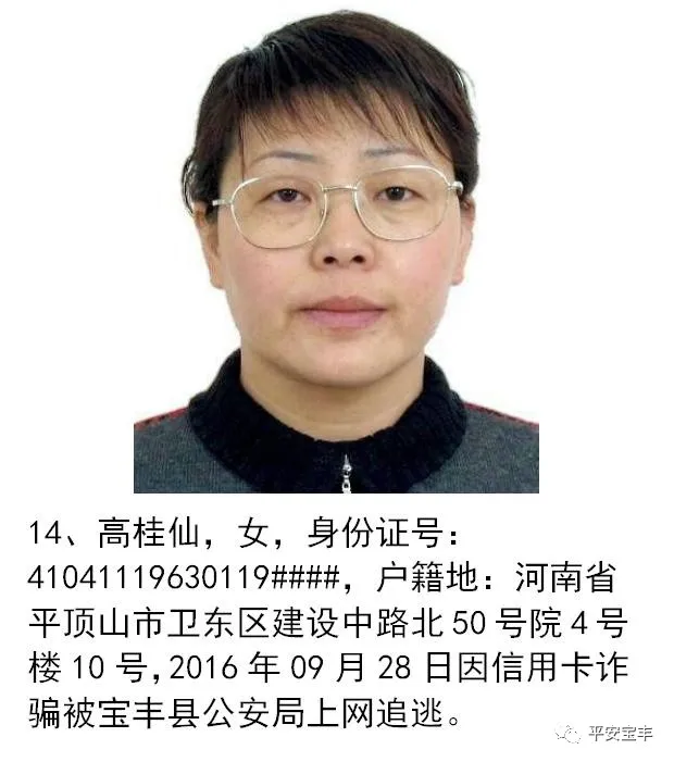 网上逃犯,网上逃犯名单查询系统
