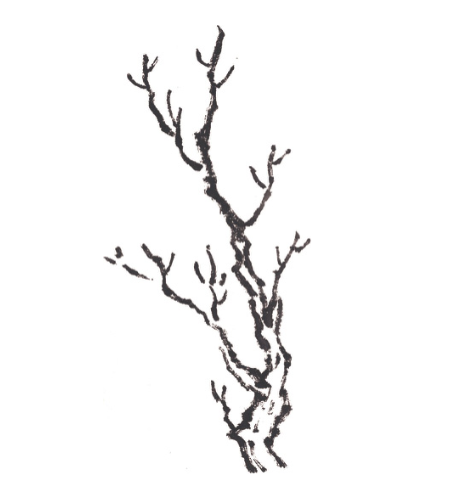 写意山水基础教程树枝的画法详解