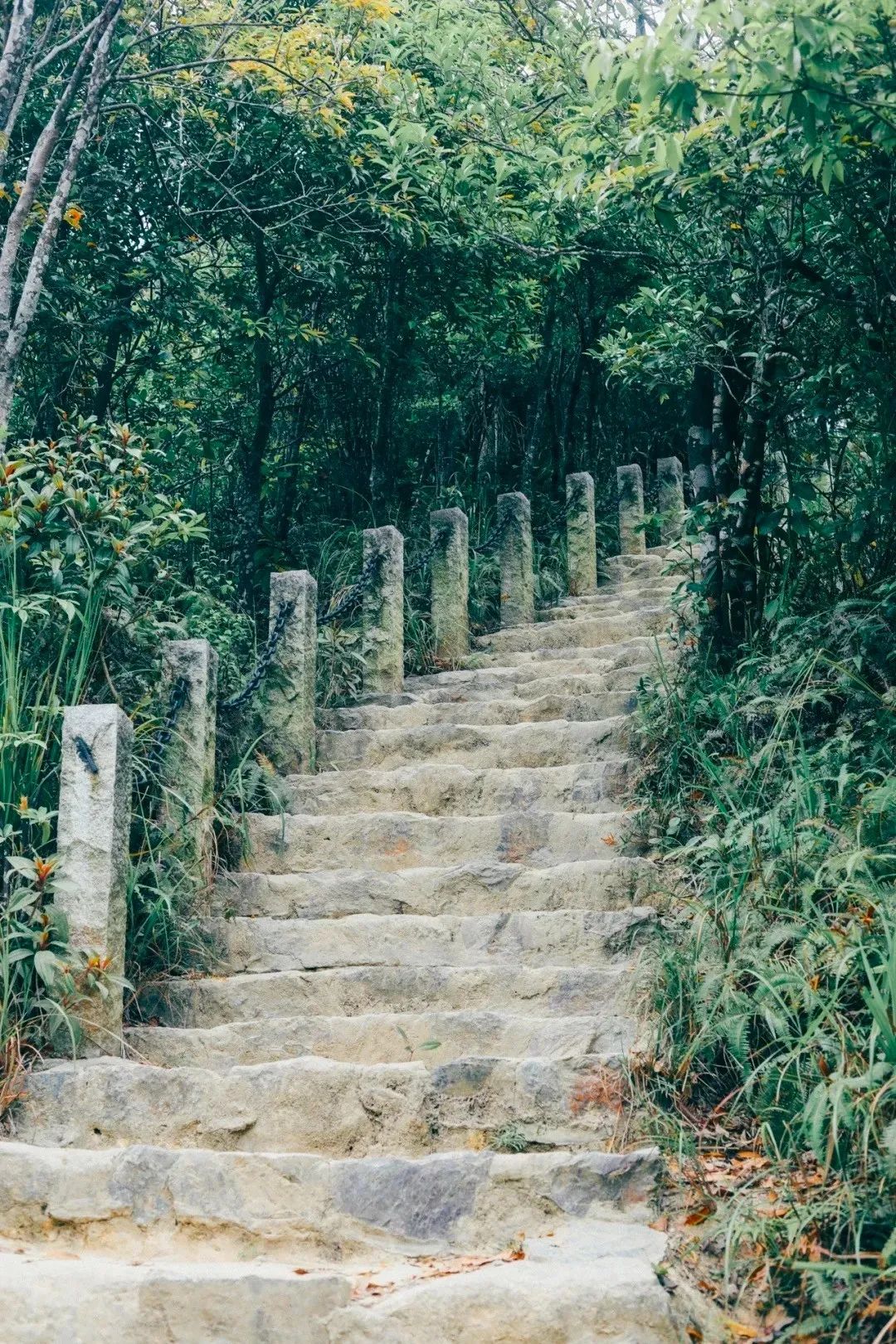 深圳值得征服的10座山，你去过几座？