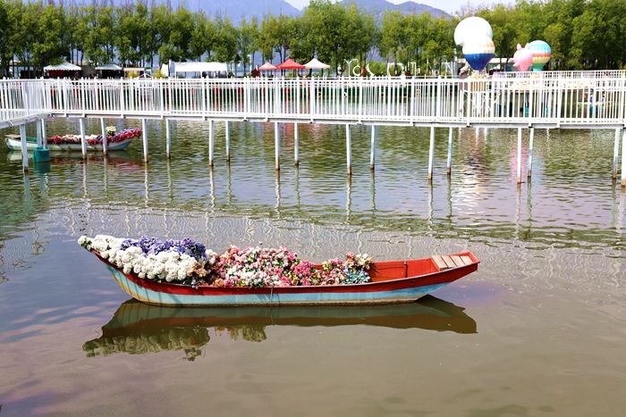 丽江拉市海，骑马走茶马古道，赏鸟走观湖长廊