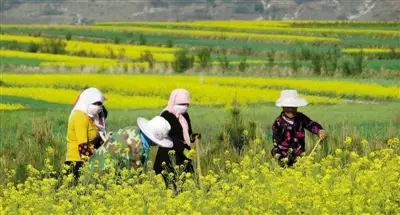 宁夏自驾游攻略来了！银川周边这些地方都挺好~