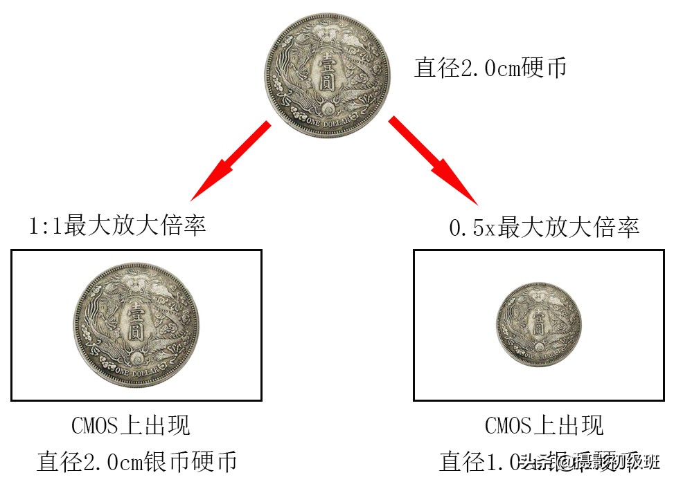 摄影基础知识：镜头的最近对焦距离是什么？