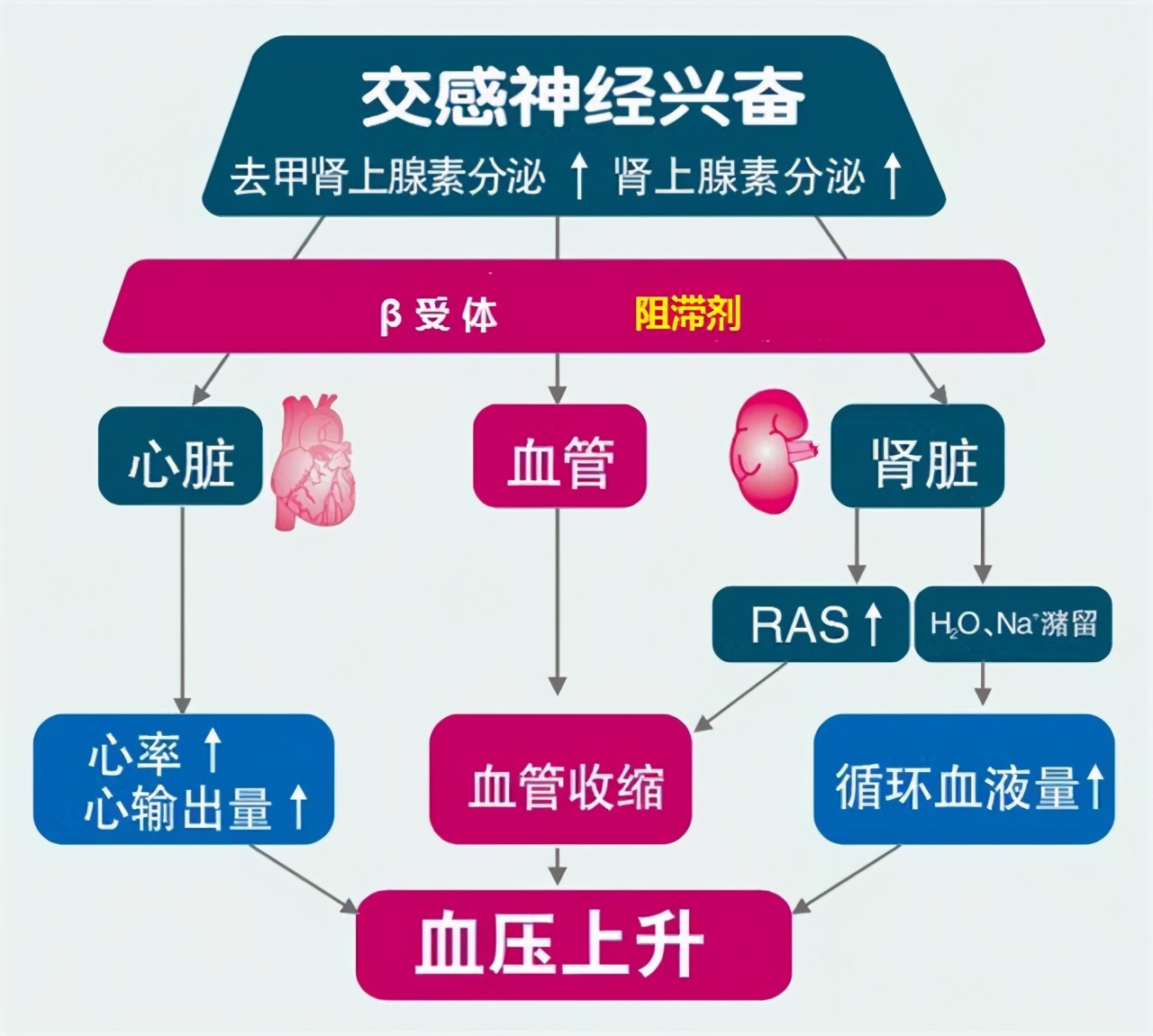 “低压”高的高血压，要降压怎么选药？请听听医生怎么说