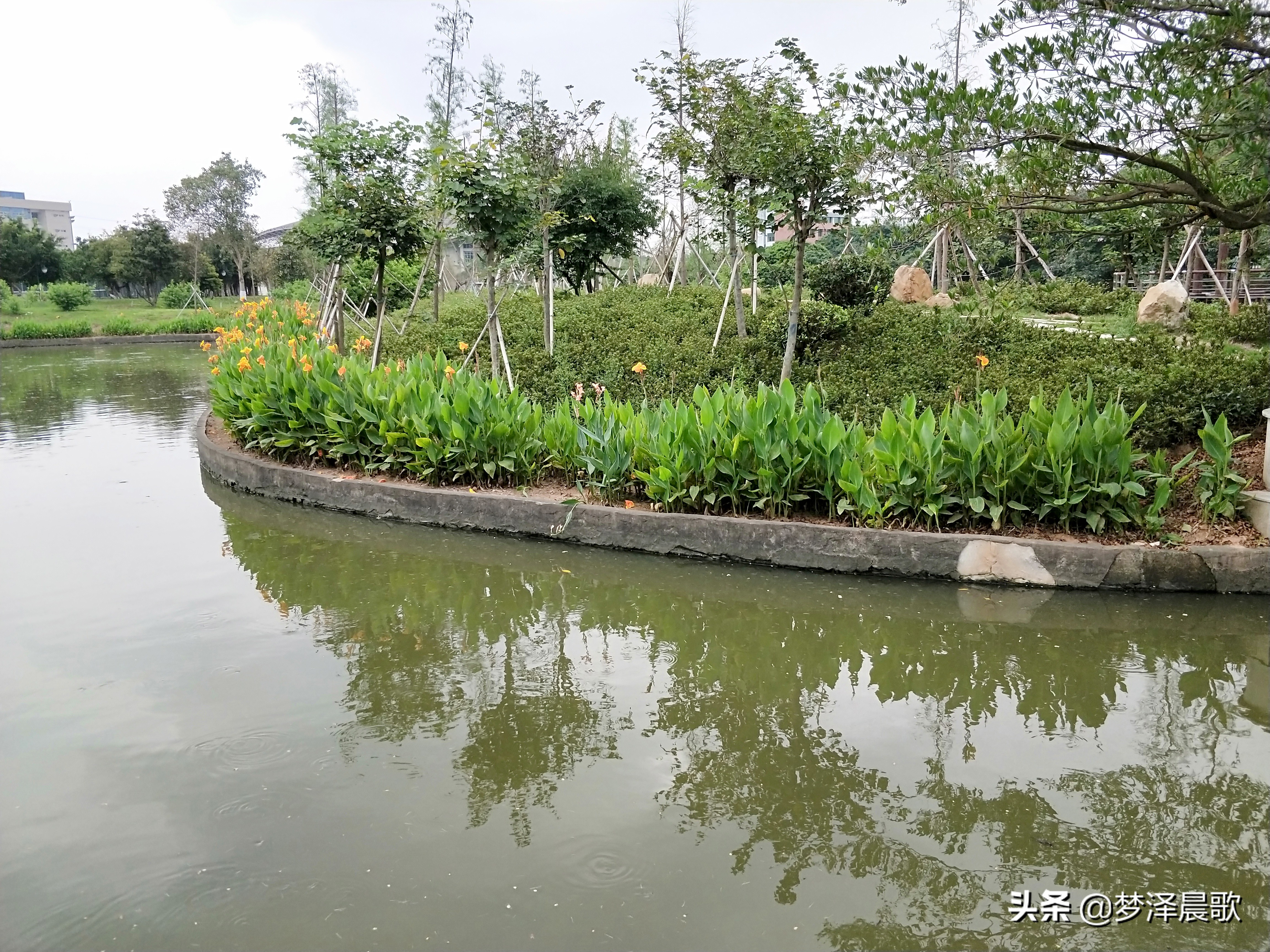 美丽校园“广州大学”