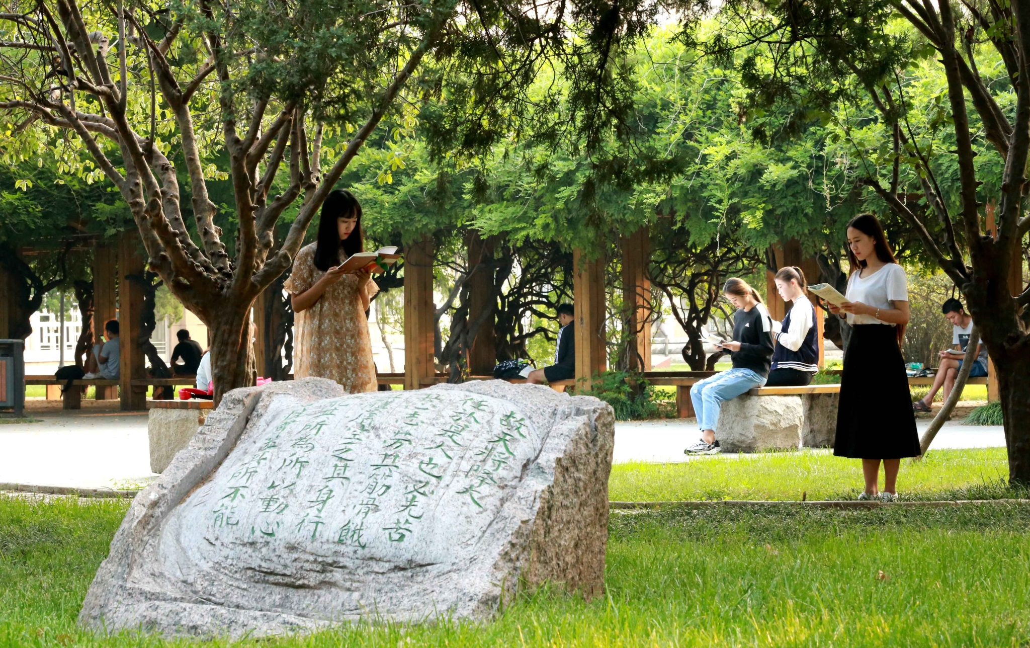 曲阜师范大学2020年招生计划，省属公费师范生招收463人