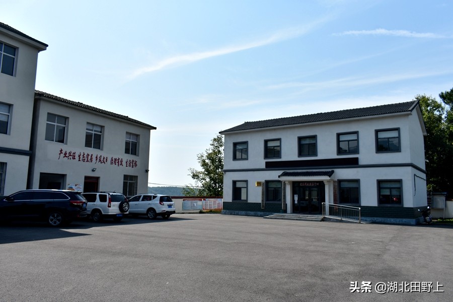 田野上團(tuán)隊(duì)回訪(fǎng)美麗的分鄉(xiāng)鎮(zhèn)插旗村