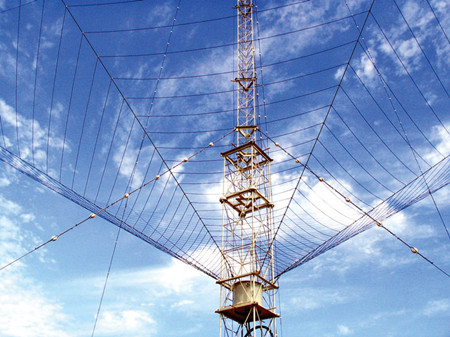 大学奇葩专业大汇总！母猪的产后护理简直弱爆了