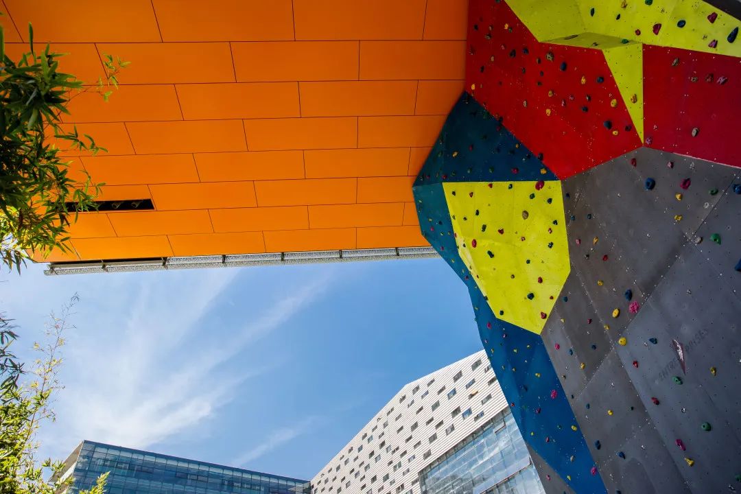 梅沙双语学校2021年秋季初中一年级学位申请指南