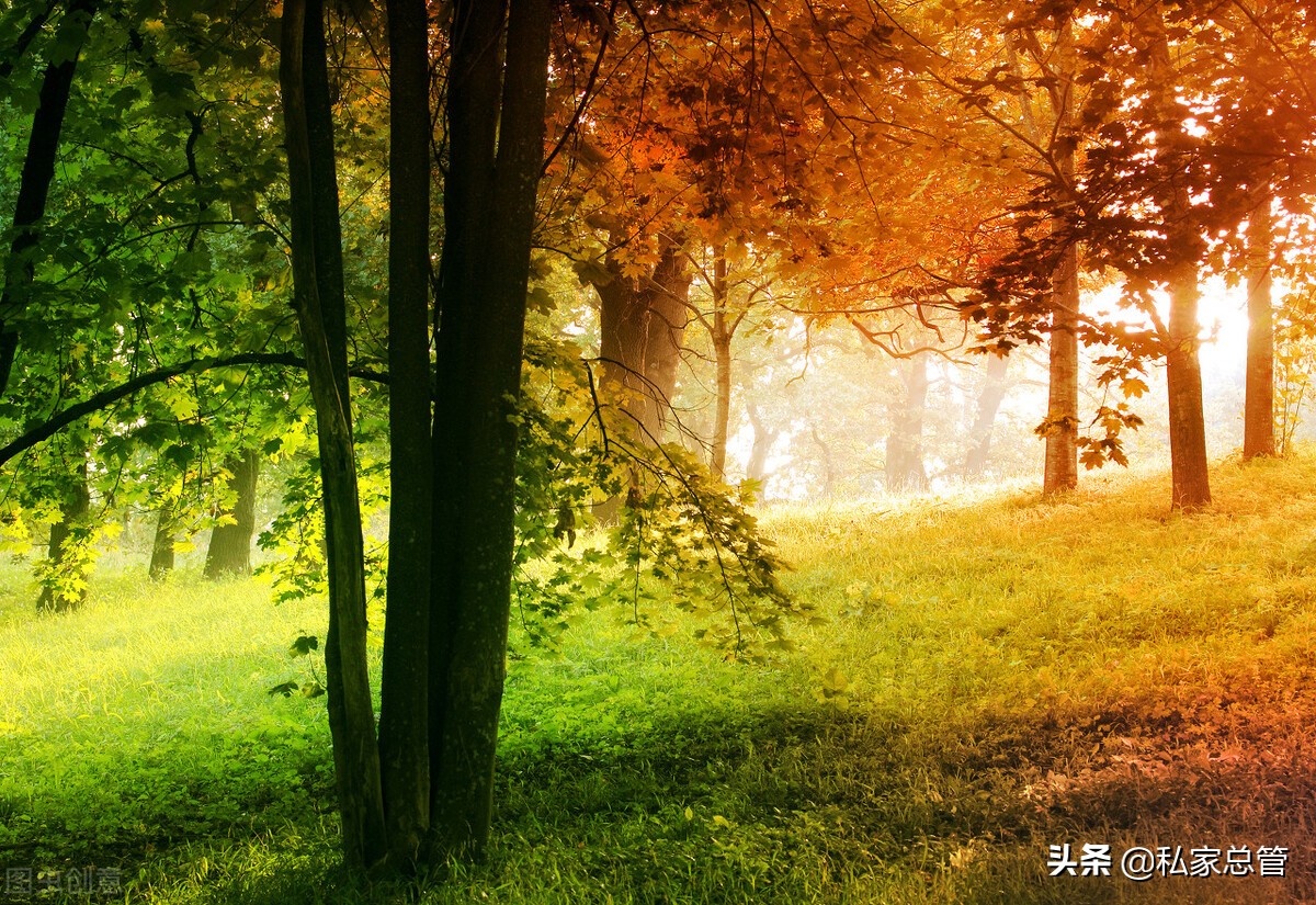 原来真正崩溃是没有声音的