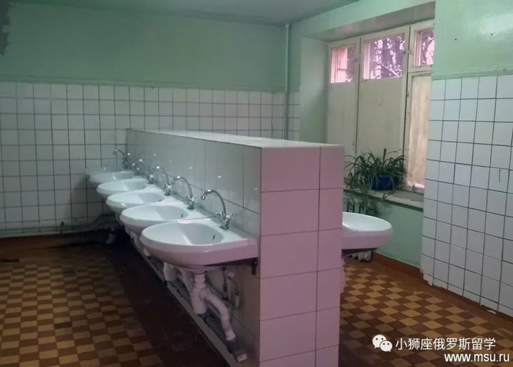 俄罗斯莫斯科国立大学介绍