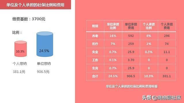 正在缴纳社保的注意！单位和个人缴纳的区别在哪？提前知晓不吃亏