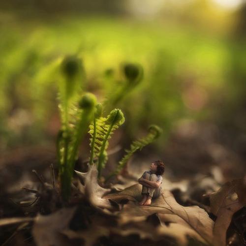 小人国真的存在吗？？科学家发现遗骸，高度才12厘米