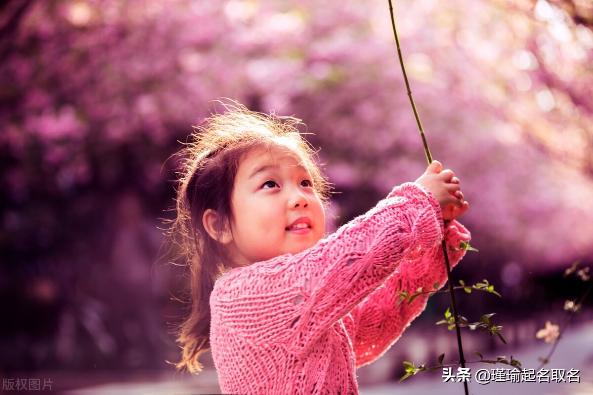 冉冉的意思是什么(冉冉的意思是什么多点)
