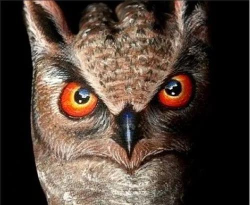 看网文对号入座自找虐心“猫头鹰”你真够变态