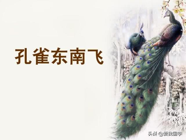 《孔雀东南飞》赏析！一曲唱绝千古的悲歌，一个断人心肠的故事