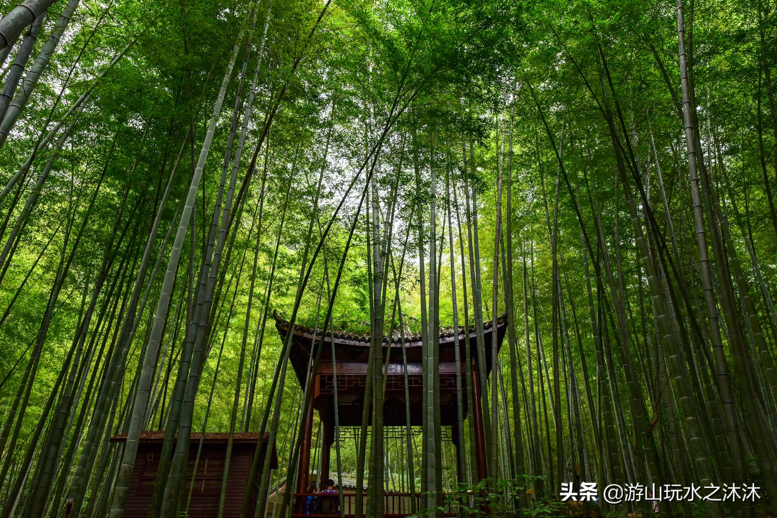 永川吃喝玩乐旅游攻略，永川美食推荐，永川免费景点推荐