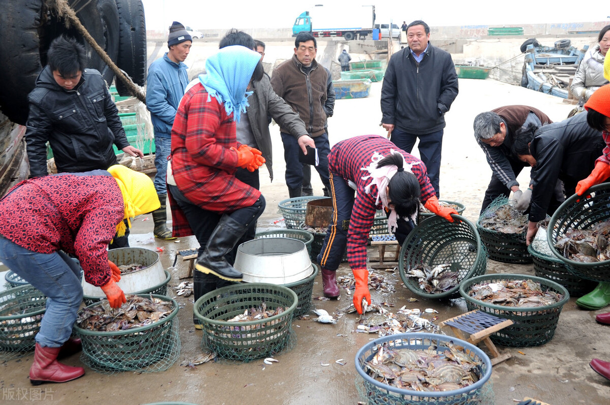 鱼价、肉价预警：鱼肉连涨22周，牛肉一马当先，泰国牛疫到来