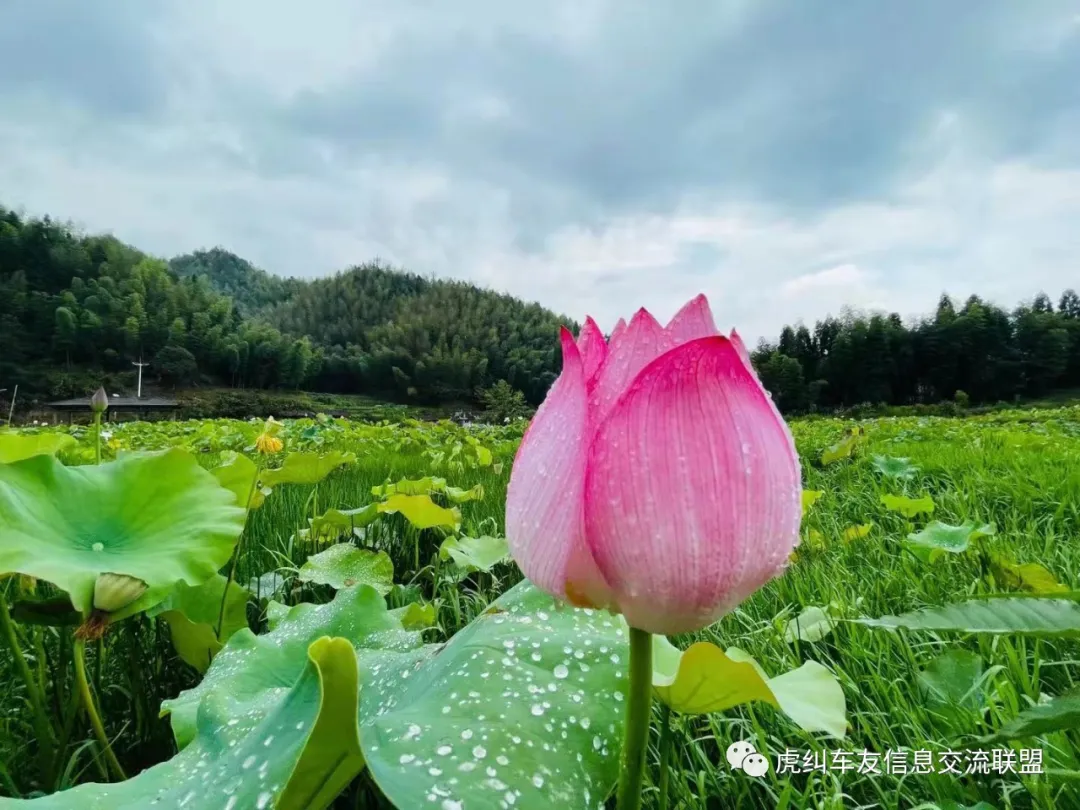 福建车茶机车俱乐部鼎力助阵首届泰宁机车旅游节花絮篇