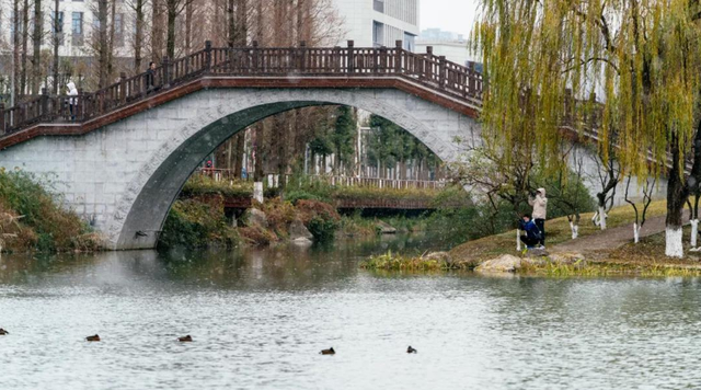 终于来了！四川省大学排名20强出炉，成都独占14所，真牛