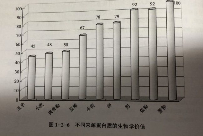十款适口性好的猫粮推荐