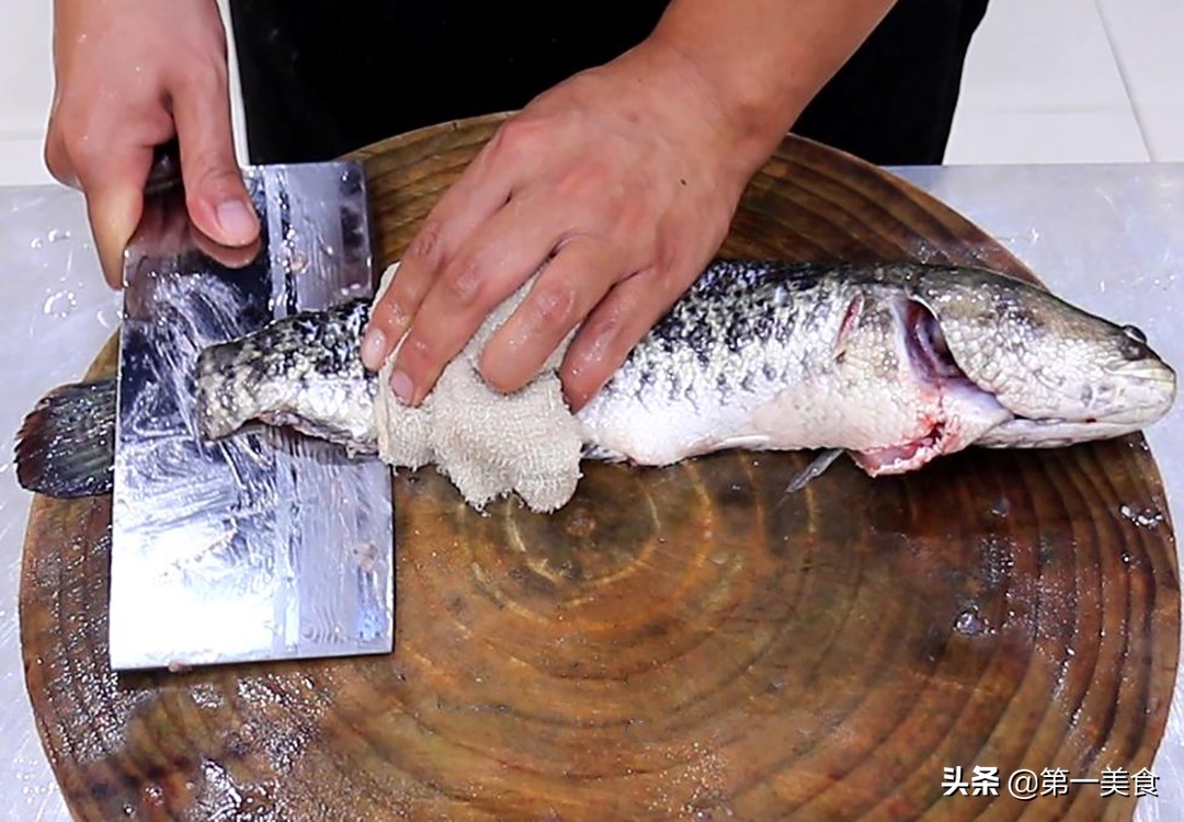 蕃茄魚,