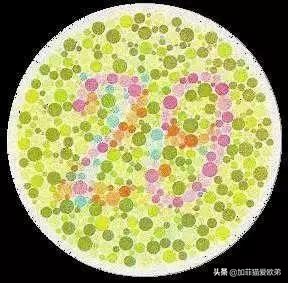 12张色盲色弱测试图，从简单到困难，看看你到第几层？
