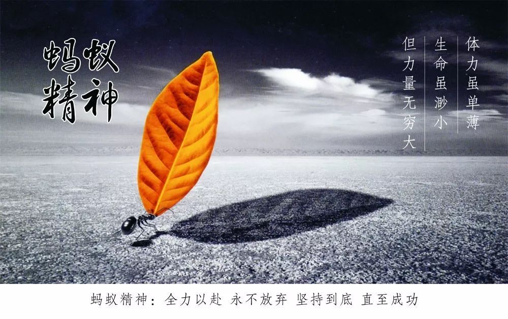 早安心灵鸡汤励志语录 早安励志的说说句子，得福翡翠