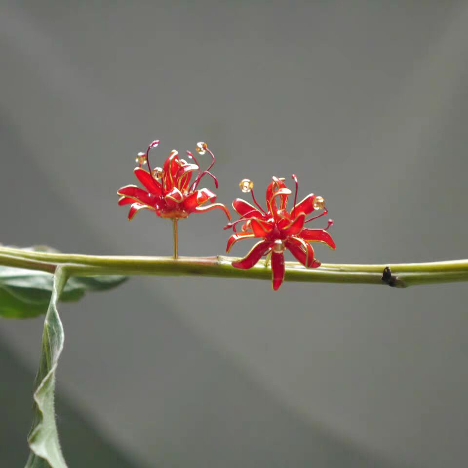 微信朋友圈 彼岸花唯美句子 这里有你想要的彼岸花