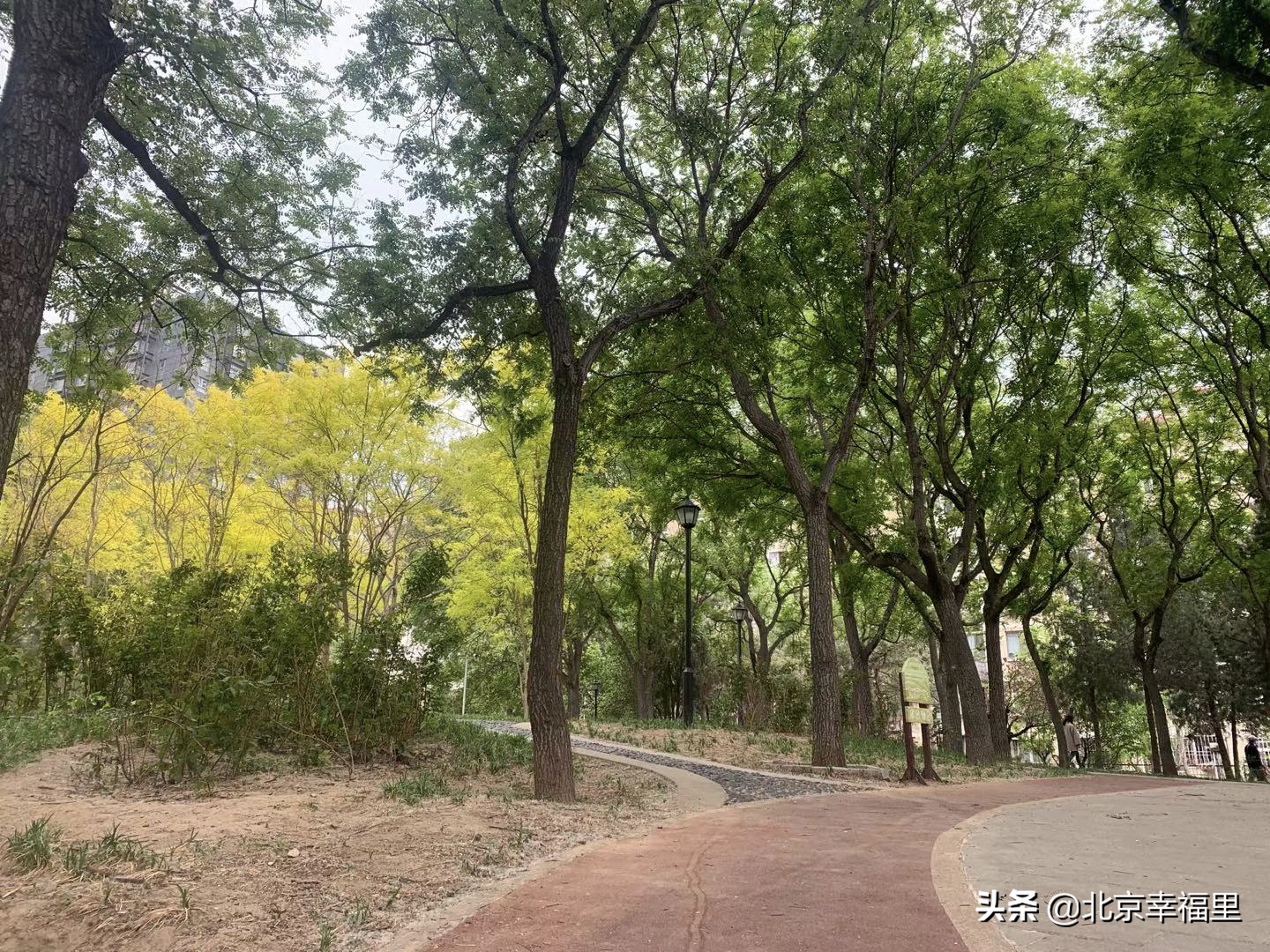 上车望京并不难！165万入住成熟社区吃喝玩乐俱全