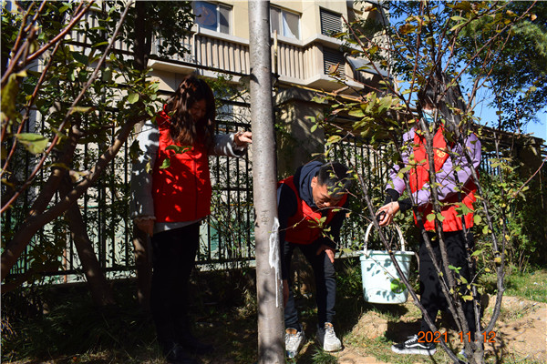 邯山区美的小学开展主题党日实践活动(图4)