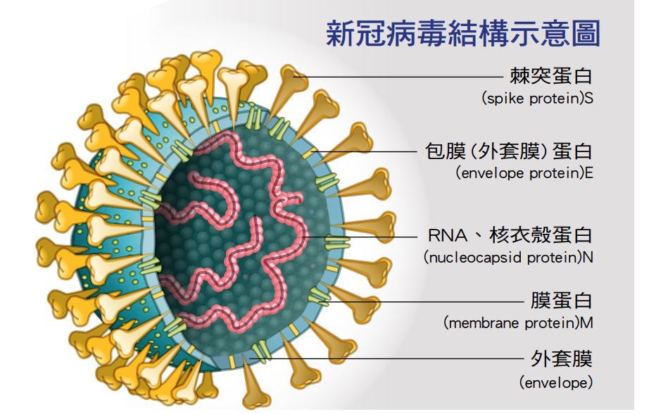 印度变异毒株首次出现社区传播，会在中国扩散吗？疫苗还有没有用