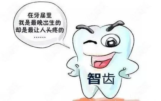 6-12岁换牙时间和换牙期问题大盘点!孩子一口好牙关键就在这几点