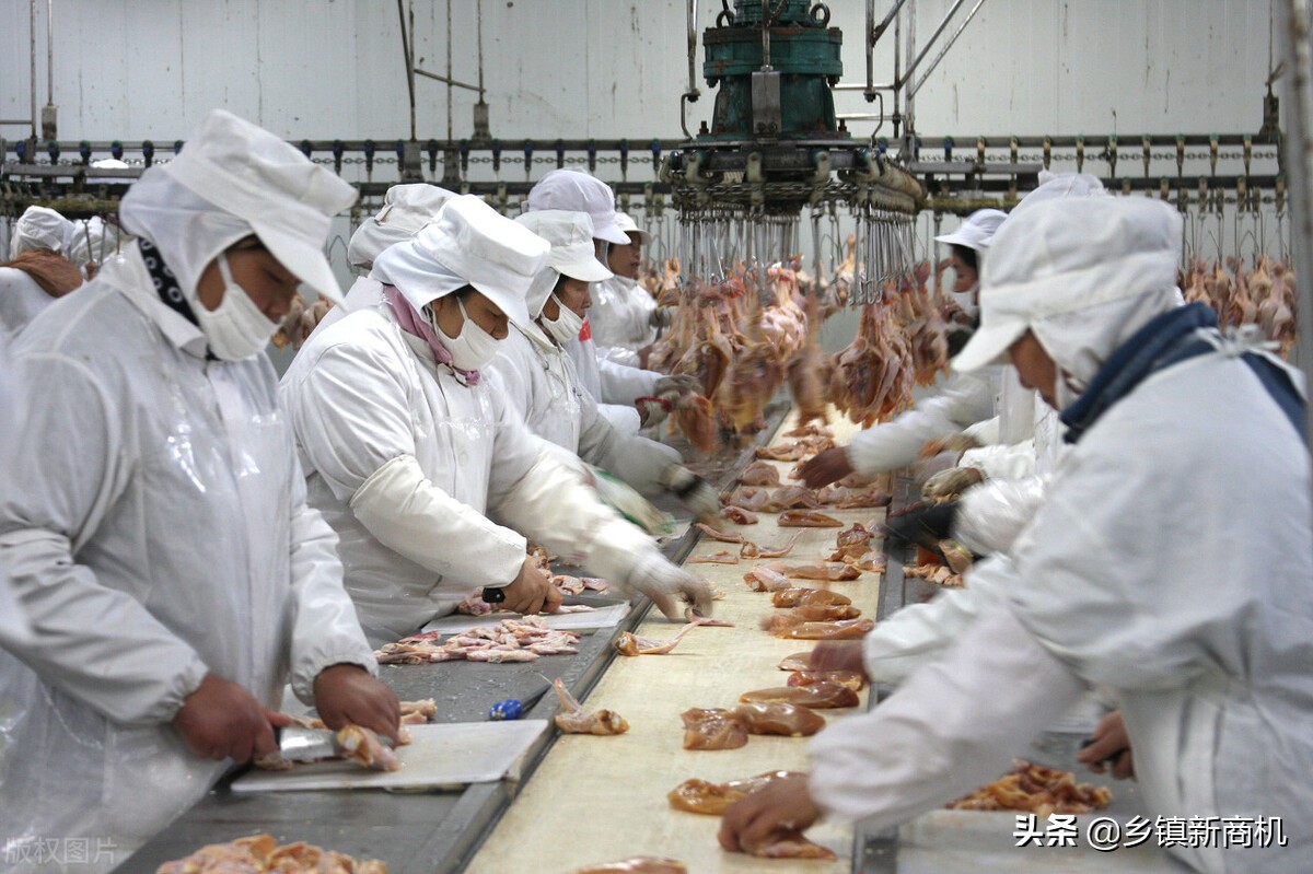 最真实的农村加工回收不愁销路的小型工厂项目