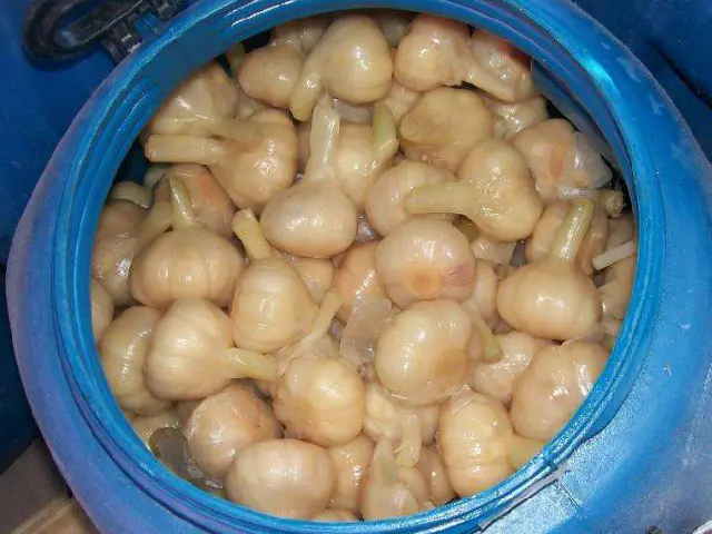 小小一颗蒜，竟是全家的保健“药”，每天来一瓣，保健效果佳