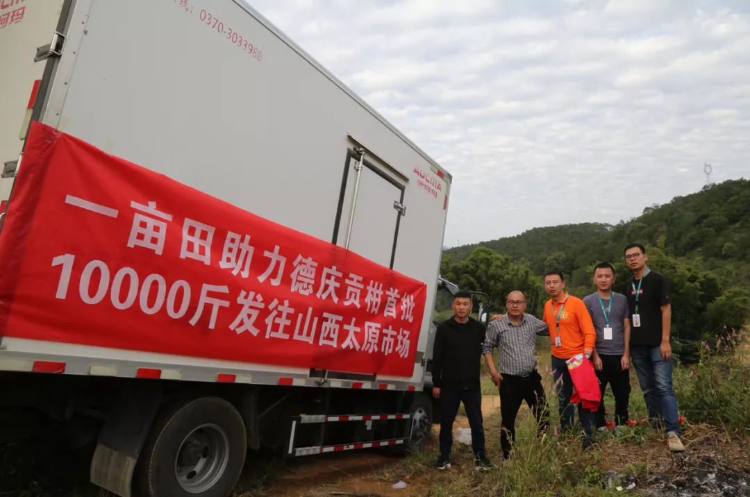 广东省委常委叶贞琴率队视察一亩田广东德庆贡柑大数据