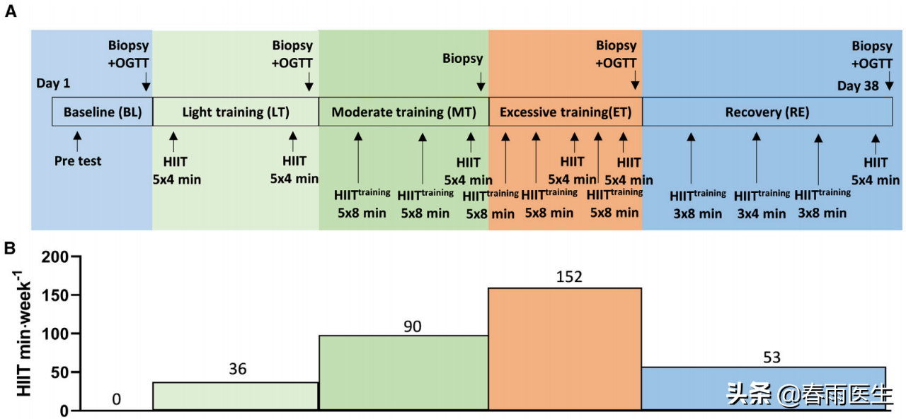 运动越多越好？过量了能把你某些肌肉都溶解掉