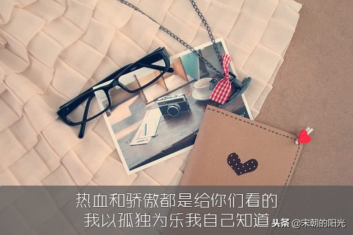 不屑于解释，也不屑于迎合，世界再大，也容不下我的冷漠与清醒。