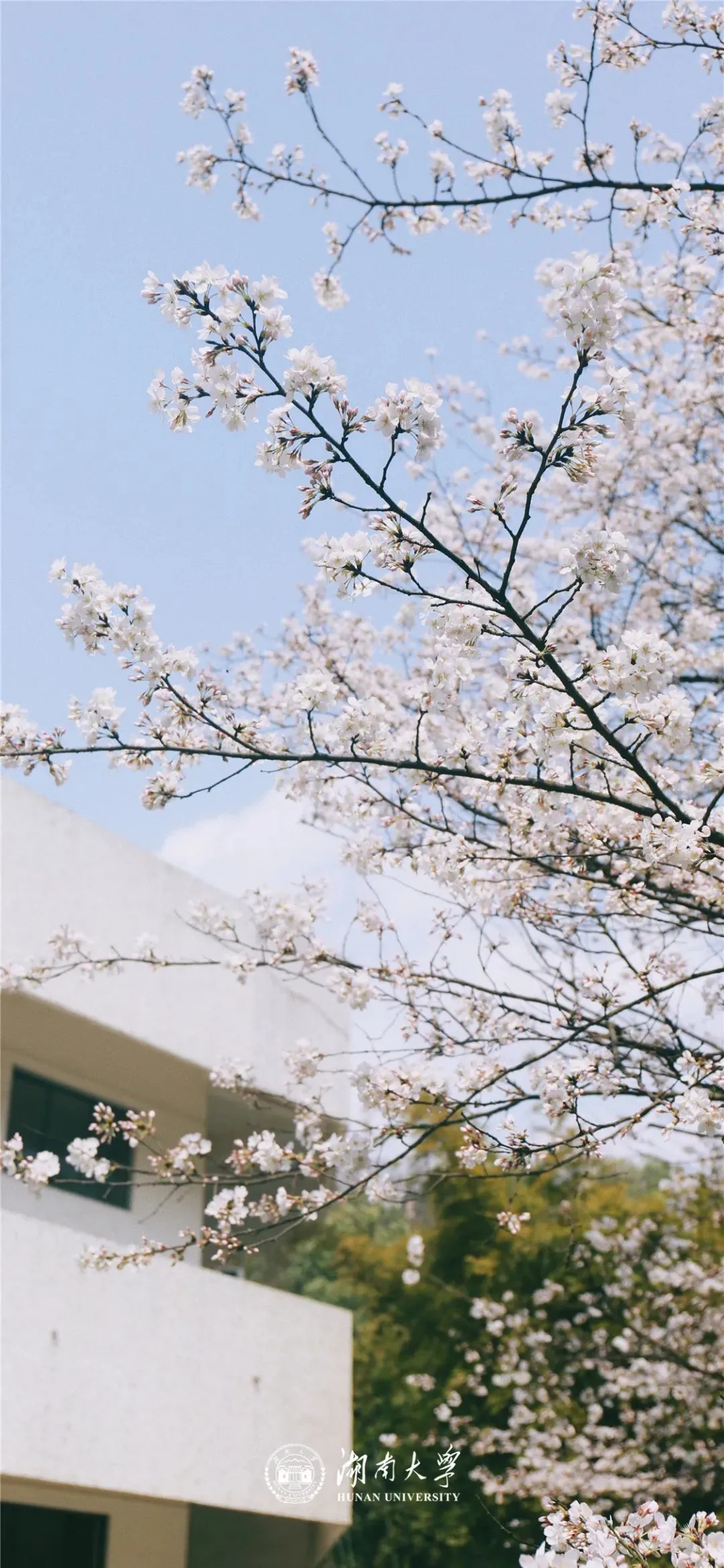 岳麓山下的千年名校——湖南大学