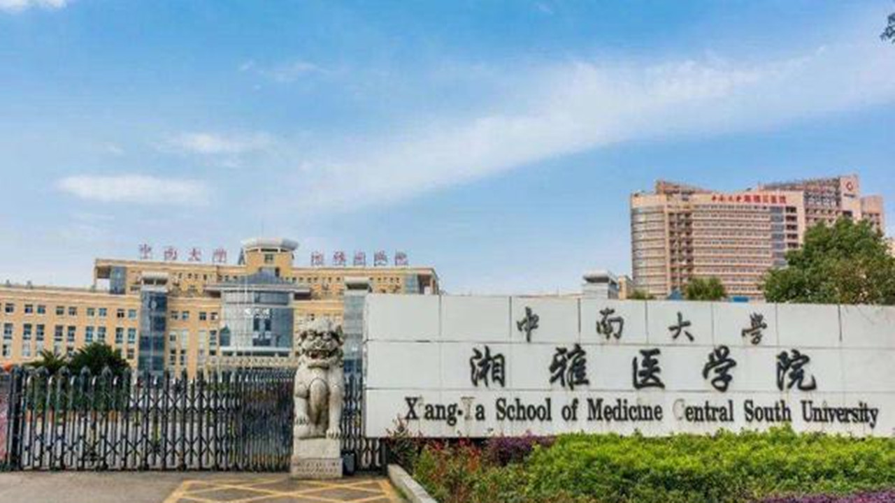 湖大错失湘雅医学院，被中南超越，唯有合并长沙理工和南华翻身