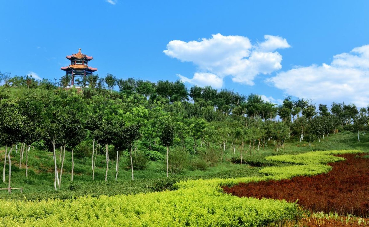 坐拥多个“中国唯一”和“世界第一”，天津中医药大学超“硬核”！