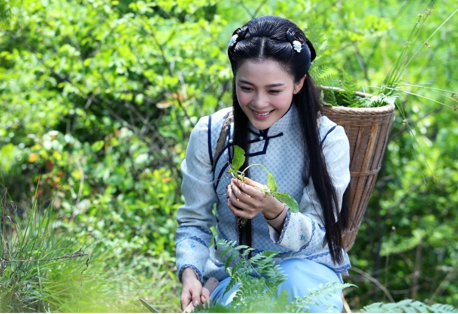 品味电视剧《忍冬艳蔷薇》中蕴含的中医文化