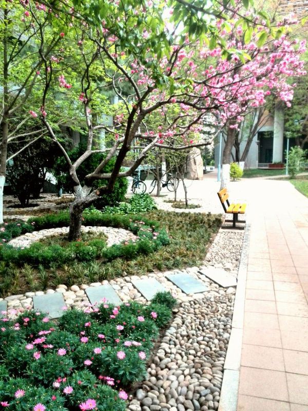 北京外国语大学2016-2017录取分数线