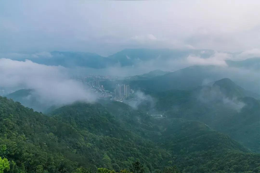 深圳值得征服的10座山，你去过几座？