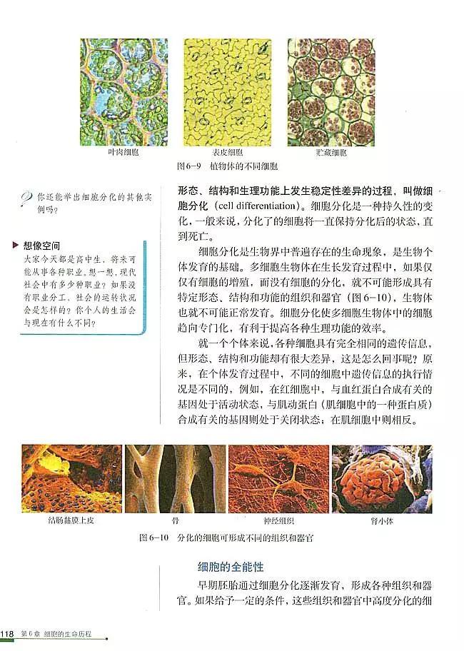 人教版高中生物（必修1）电子课本（高清版）