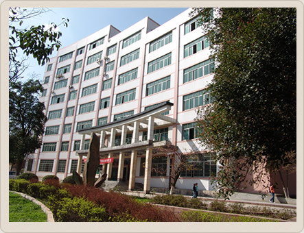 文化成绩弱的美术生，可以报考这所按专业成绩录取的“211”大学