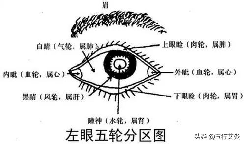 艾灸帮你调理眼袋