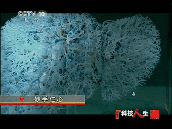 我国肝胆外科之父吴孟超：中医是治疗肝癌的常规疗法