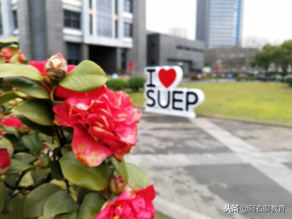 上海电力学院和上海电机学院，傻傻分不清！其实差别很大